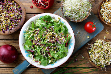 cibo vegetariano germi vari ,insalata e contorni su tavolo