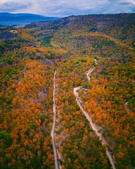 Road with Foliage