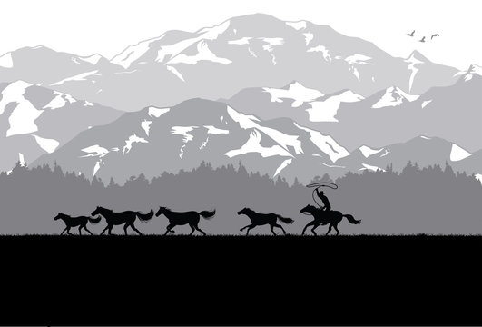 Silhouette of a cowboy chasing wild horses in desert, Vector