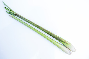 Obraz na płótnie Canvas Lemongrass isolated on a white background, spices for cooking
