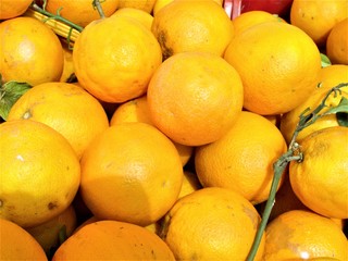 lemons in market