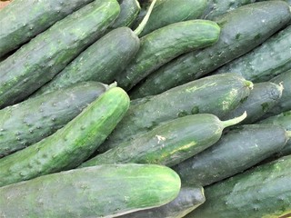 cucumbers for sale at the market