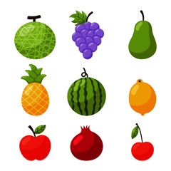 set of tropical fruit cartoon style. isolated on white background. vector illustration.