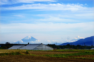 遠くに富士山がみえる田園の風景