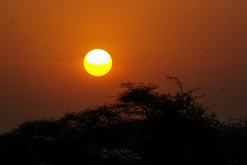 Obraz premium Atardecer en Africa