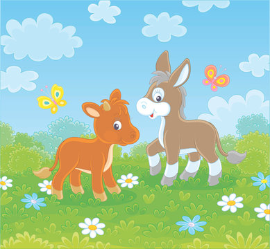 Small donkey and a little calf walking among white and blue flowers on green grass of a summer field on a beautiful sunny day, vector cartoon illustration