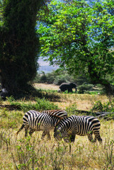 Paisaje africano