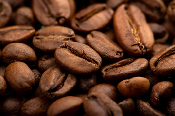 Coffee beans close-up background. Fresh roasted