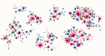 Flowers watercolor illustration.Manual composition.Big Set watercolor elements.