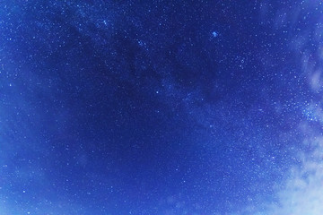 A magical starry night on the river bank with a large tree and a milky way in the sky and falling...