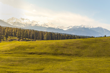 Lush green meadows of Yusmarg, Kashmir photographed late afternoon well before sunset