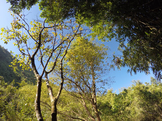 Fototapeta premium view landscape nature at the mountain