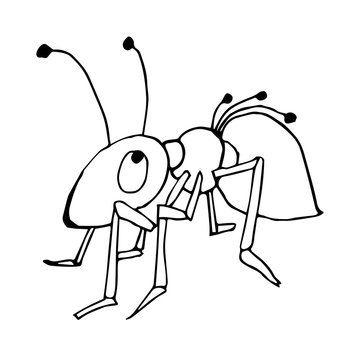 Cute fabulous ant with outlined for coloring book isolated on a white background. Vector illustration of hand drawn black and white ants.