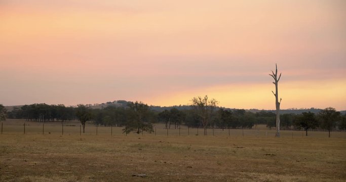 Cessnock Images – Browse 361 Stock Photos, Vectors, and Video | Adobe Stock