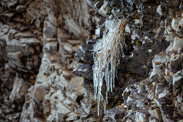 Icicles hang from a cliff. Long transparent and beautiful icicles on stones.