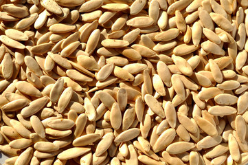 full cucumber seeds background