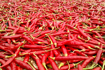 hot red fruit chili peppers whole dry