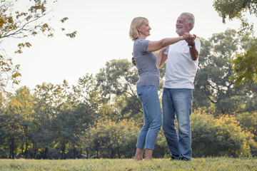 Senior couples dance together in the park.