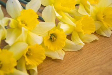 Obraz premium Beautiful yellow daffodils on wooden background, bright studio shot, flowers background