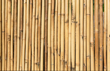 bamboo fence closeup, background
