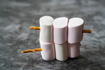 Marshmallow with Pretzel Sticks Ready to Serve and Eat.