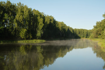 fog over water on a background of a tree with green leaves and a blue sky without clouds at dawn.