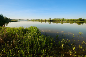 calm expanse of pond water on a bright sunny day with green grass in the foreground.