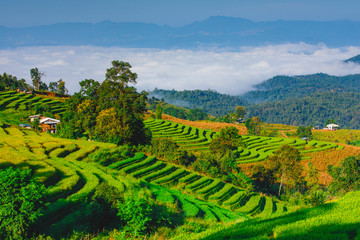 Fototapeta na wymiar Beautiful landscape view of green rice terraces in high mountainmisty in morning sunrise time, in Mae-Jam Chaing Mai Province , Thailand, Asia