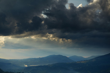 Sunset in carpathian mountains - beautiful summer landscape, spruces on hills, dark cloudy sky and bright sun light, meadow and wildflowers