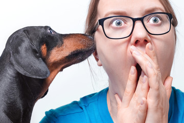 Funny dachshund whispering gossips or secret right to the ear of young woman with big eyes....
