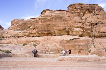 Horses waiting to transport tourists in Petra, Jordan