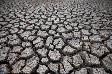 Close up cracked ground in dry season. The is soil that lacked of water,Background of dry cracked soil dirt