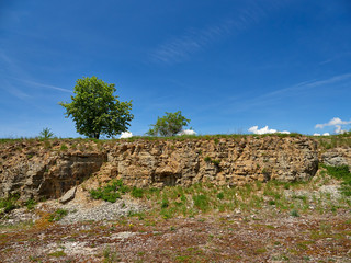 Landschaft im NSG  Sodenberg in der Vorderrhön bei Hammelburg, Landkreis  Bad Kissingen,...