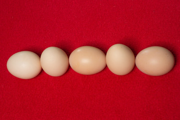 Whole eggs with set in a row on red background.