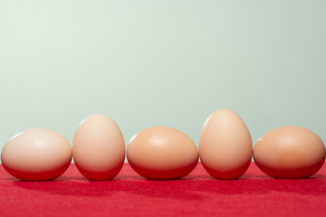 Whole eggs with set in a row on red background.