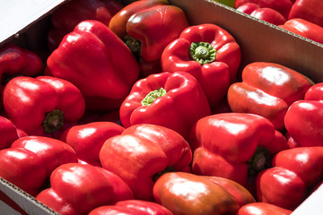 Sweet red peppers in cardboard boxes, laid in the sun.