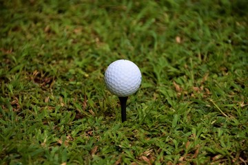 Golf ball on black tee in grass closeup detail