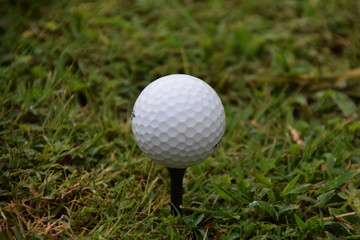 Golf ball on black tee in grass closeup detail