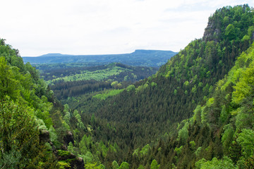 Fototapeta na wymiar Forest landscape of Bohemian Switzerland National Park, Czech Republic