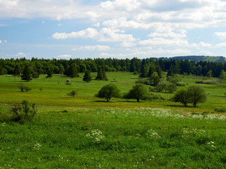 NSG &bdquo;Schwarzes Moor", Biosph&auml;renreservat Rh&ouml;n, Unterfranken, Franken, Bayern, Deutschland