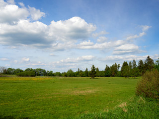 NSG „Schwarzes Moor