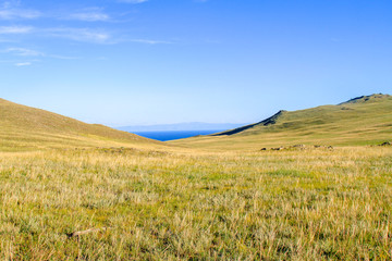 Obraz premium landscape with hills and blue sky and lake