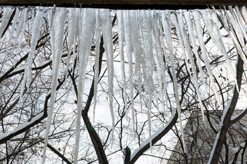 Icicles hanging from the roof of a residential building. Dangerous large icicles can cause an accident in winter. Icicle falls, snow falling from the roof..