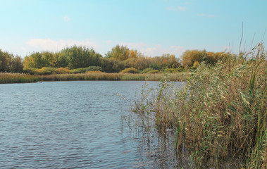 Autumn landscape. Lake in Europe.