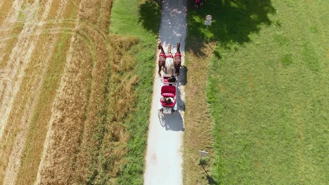 A beautiful top view of the wedding carriage with three horses