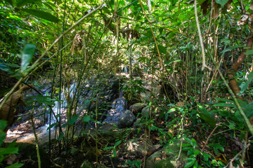 Kathu Waterfall, Phuket, Thailand. A forest path in a beautiful, abundant waterfall.