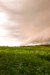 Dramatical sky and clouds before the storm over the green field and forest at summer evening. Natural background view. Text copy space. Thunderstorm concept