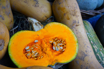 Colorful orange and green pumpkins and gourds in the fall