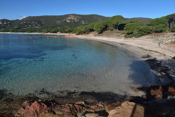 Fototapeta na wymiar La plage de Palombaggia en Corse