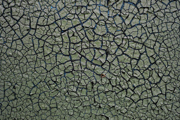 Rusty metal painted texture background. Green color.